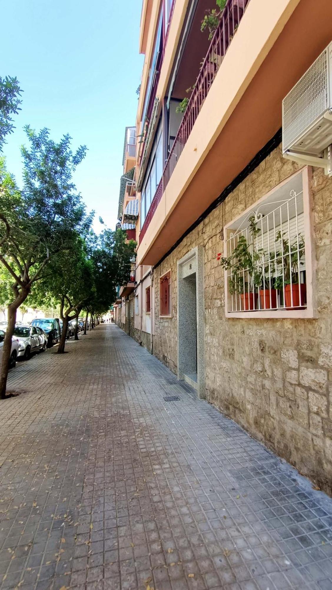 Visitando A Mijail Appartement Alicante Buitenkant foto